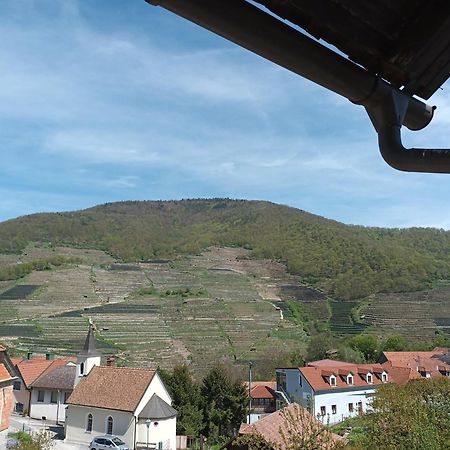 Gaestehaus-Pension Familie Dwars Hotel Spitz an der Donau Ruang foto