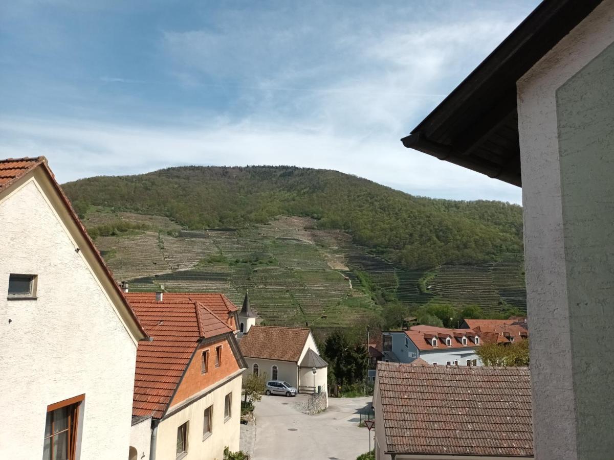 Gaestehaus-Pension Familie Dwars Hotel Spitz an der Donau Bagian luar foto